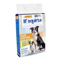 Lil' Squirts Odor Control Training Pads for Puppies and Dogs  Ruffin' It